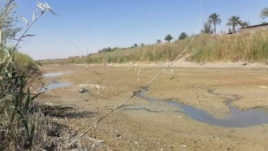 IMG 20220425 193921 398