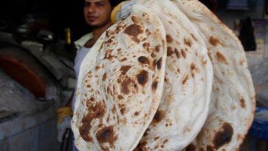 IMG ٢٠٢٢٠٤٠٥ ١٩٥٢٥٣