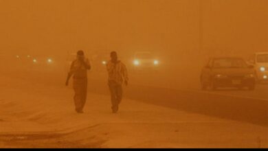 IMG ٢٠٢٢٠٤٠٧ ١٩٣٨٣٤