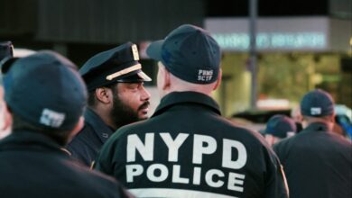 IMG ٢٠٢٢٠٤١٢ ١٧٠٠٠٨