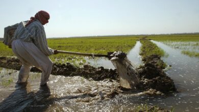 IMG ٢٠٢٢٠٤١٢ ١٧٤٠٣٥