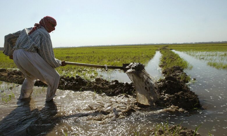 IMG ٢٠٢٢٠٤١٢ ١٧٤٠٣٥