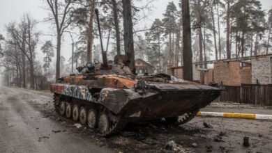 IMG ٢٠٢٢٠٤١٥ ٢٠٣٠١٧