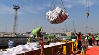 IMG ٢٠٢٢٠٤١٦ ١٧٠١١٦