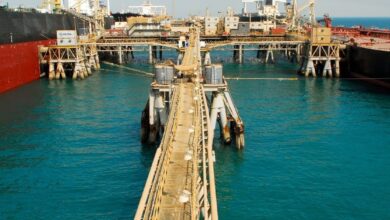 IMG ٢٠٢٢٠٤١٨ ١٩١٣٣٦