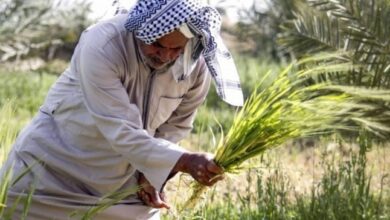 IMG ٢٠٢٢٠٤١٨ ٢١٠٤٠٧