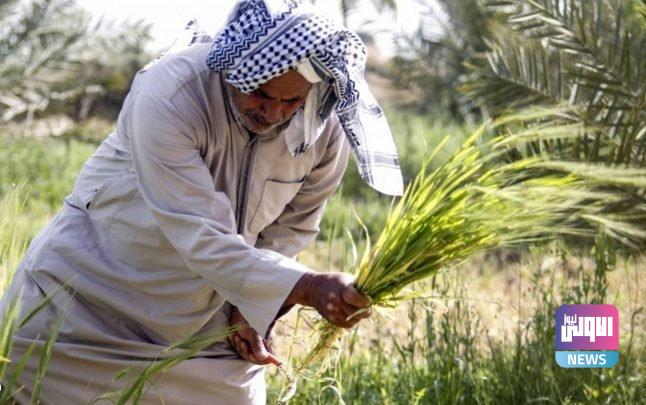 IMG ٢٠٢٢٠٤١٨ ٢١٠٤٠٧