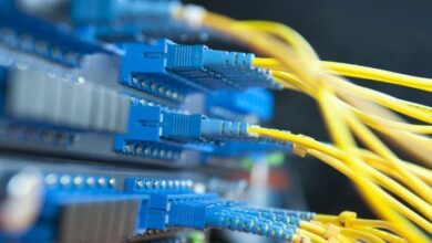 IMG ٢٠٢٢٠٤٢٥ ١٧٥٨١٤