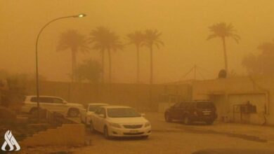 upload 1649353668 1246345754