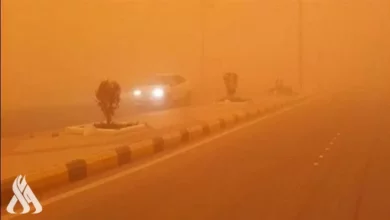 صحة أربيل تسجل 222 حالة اختناق إثر العاصفة الترابية 2 upload 1649403234 273297692