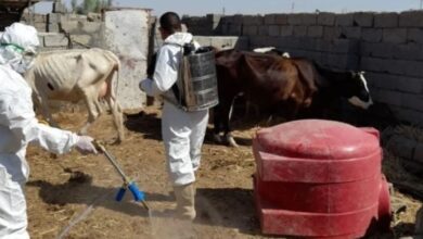 upload 1650817873 858430136