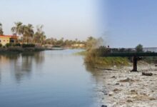 شحة المياه وجفاف نهر العظيم يهدد الثروة الحيوانية في ديالى