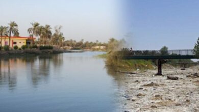 شحة المياه وجفاف نهر العظيم يهدد الثروة الحيوانية في ديالى