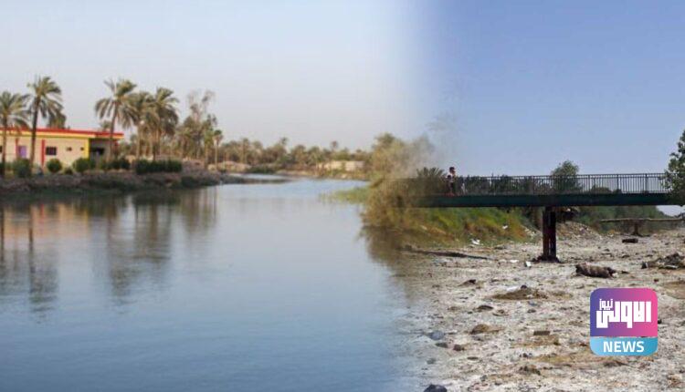 شحة المياه وجفاف نهر العظيم يهدد الثروة الحيوانية في ديالى