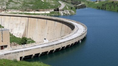 03CCE71E 94DA 4149 B5D2 45371B187B48