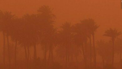 0533E5F9 882D 4855 B40C 2004CFBA7F71