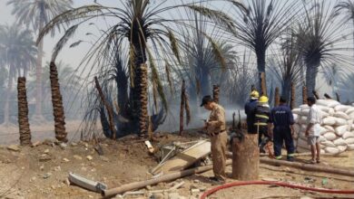 055CCC6C FB15 49C4 95AD F94E7409D35D