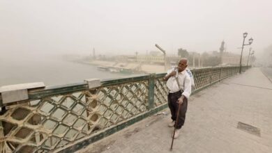 066FA1DE CA5E 493A BF68 7CB378423C40