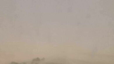 109D32A7 8BDC 4C69 A748 300D31CC26CD