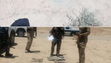 156E382A E9F1 4E74 8119 D7F3BC793792