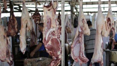 15C9A76B 7929 4958 84D2 D69C621B24D7