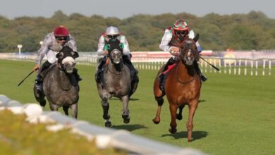 177 153011 arabian horse president uae cup in france 700x400