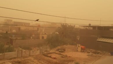 17B1F691 CEF8 4B45 A0D6 C1927300848E