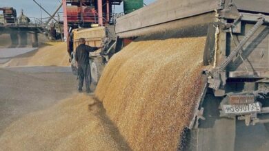 روسيا تهدف إلى تصدير خمسين مليون طن من الحبوب 6 18B2BFE0 B390 4046 8BC4 FE88841E5B2E