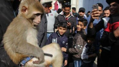 22E5EE6D F6B3 4BA1 8469 AB9D8A07AD3B