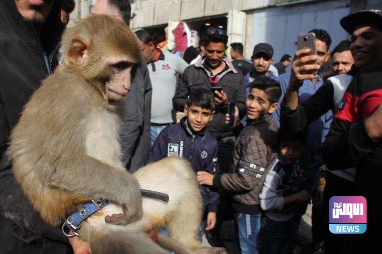 22E5EE6D F6B3 4BA1 8469 AB9D8A07AD3B