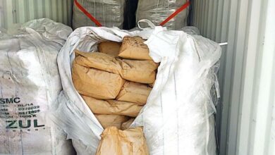 254D4D0A 8DEB 4E98 8688 B4753B606C43