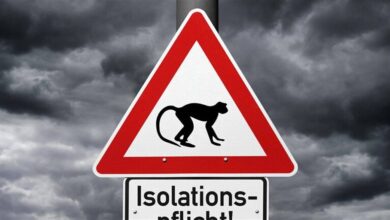 27C0AAC4 D2D8 405D 8A9A 31DB4361BDC5