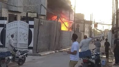 2BFDF05F F89F 4BC3 B0C4 7DCB3DF7C917