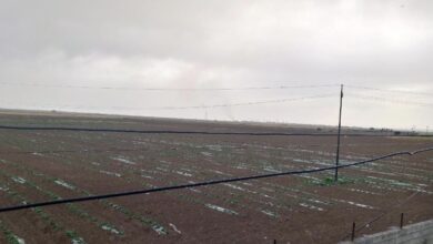 2F1009E3 A9AC 4278 975A D75730EA7B28