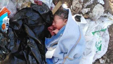 3005E040 28EA 44D6 8676 0681E535FD58