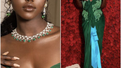 34248DC9 0737 4CF8 AF6D B3FAB05E69F9