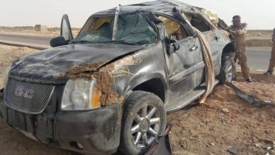 37E2DEAD 516D 426E 8DD3 4CDD2A469EB6