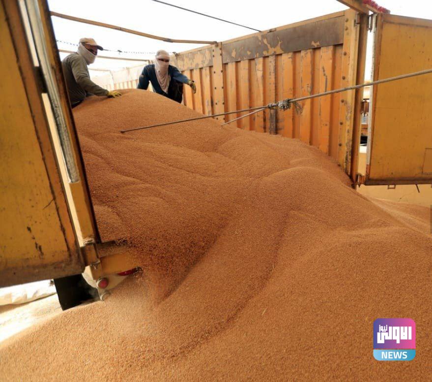 الزراعة النيابية تعلن زيادة سعر طن الحنطة في قانون الأمن الغذائي 1 3B2E691A 77C1 4DD5 BA73 39214C5DD6FA