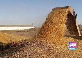 المجلس الوزاري للاقتصاد يصوت على زيادة سعر شراء محصول الحنطة 1 3E62C2B1 CA17 4B83 BD0B 18991C18E409