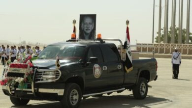 3FF7E5E2 0CEA 49AB 9DD8 6674C6675E8A