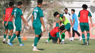 4023688e 69ac 461e b203 137c2c2dd650