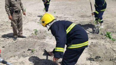 الدفاع المدني يشرع بتعزيز الحزام الأخضر في المدن (الصور ) 3 5777730C 7890 45F7 94EF 44B180DC2F12