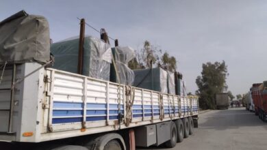 6AAD986D CC50 496A BDCE 277EFA958783