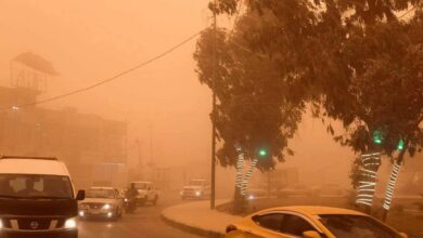 73BC379B 915F 4647 A91F 3796709C4302