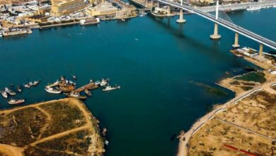 768B28E8 DA1C 4EA8 9558 D2A490570F7C