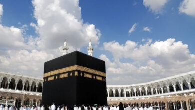 77883654 8E19 480E BD9D F81ADC9E08ED