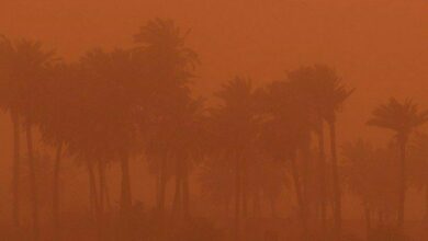 77D6660B 6139 43C4 83F3 751367D72608