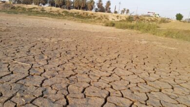 7F7FCDB7 1A21 47C6 9089 0E9008F306CB