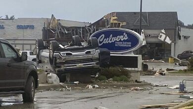 7FD66A89 0663 42E4 80F7 DCA5528C6481