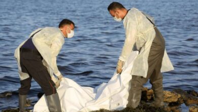 82687004 3A15 4733 879F 48EA05DC660C